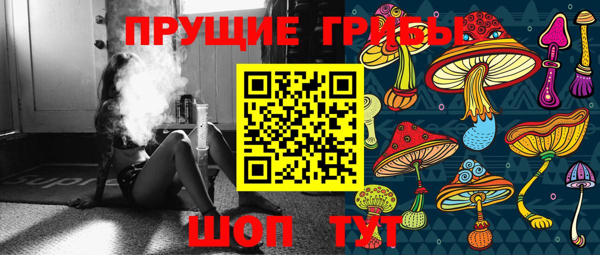 Псилоцибиновые грибы Psilocybe  цены наркотик  Моздок  Вход с VPN 